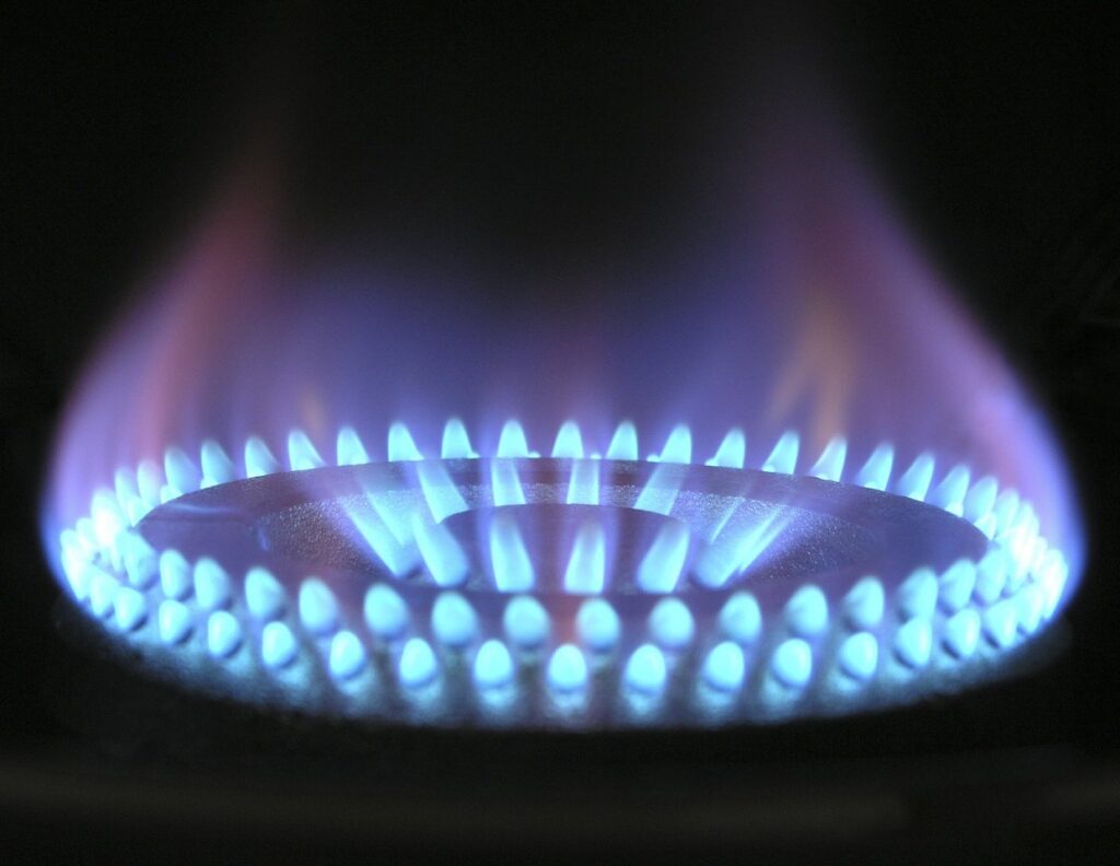 Gas stove flame