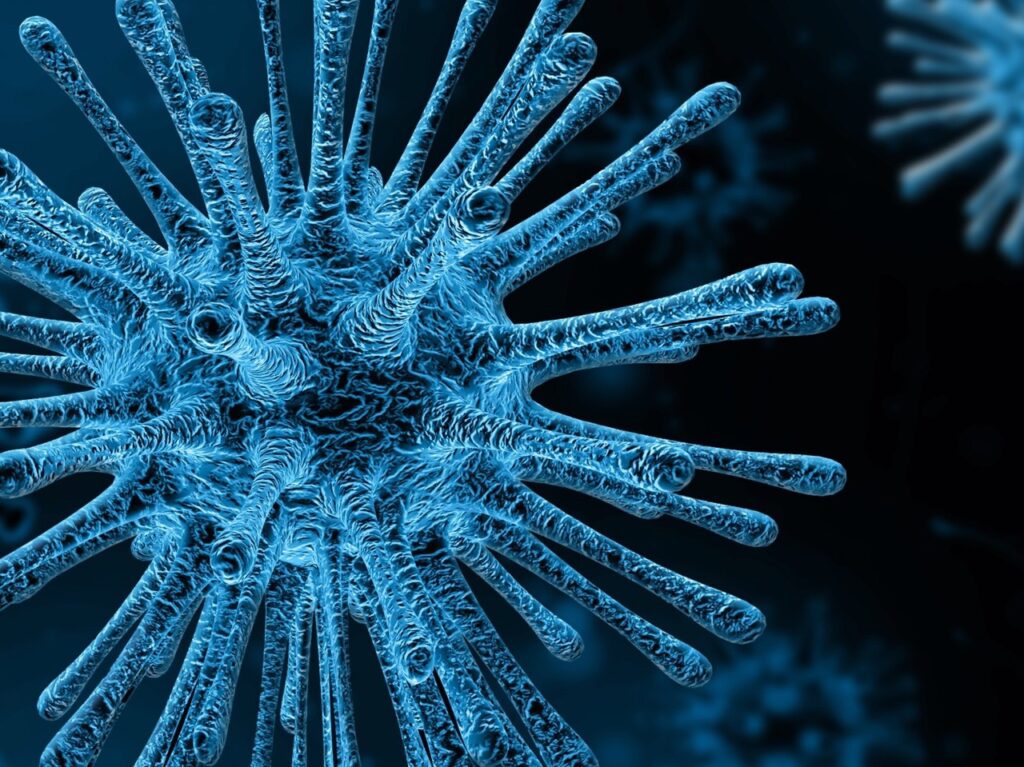 COVID-19 virus